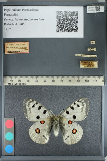 Media type: image;   Entomology 175050